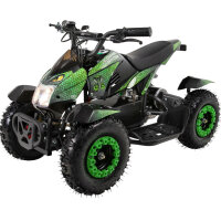 E-Quad 800 Watt 6 Zoll