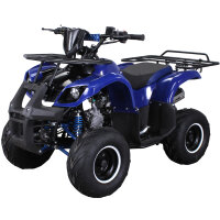 E-Quad 1000 Watt 7 Zoll