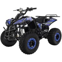 E-Quad 1000 Watt 8 Zoll