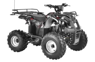 E-Quad ab 1200 Watt mit Differential