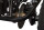 Hunt Gokart 650Watt 36Volt 6Zoll Schwarz