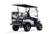 Golf Cart 5kW inkl. 7,4 kW/h|48V 155Ah Batterien