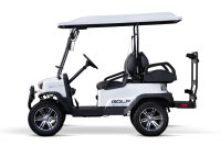 Golf Cart 5kW inkl. 7,4 kW/h|48V 155Ah Batterien