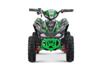 Python Snowy-Profile L Sport 6" 1000Watt 36Volt