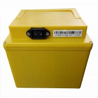 E-Roller "X1" 500 Watt, 25 km/h, 48 Volt, 20 AH, EEC