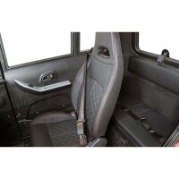 Cruise Kabinenroller 45km/h EEC Blei-Gel 58AH Akku-Rot