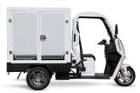 Truck gXC V9 3kW 45km/h EEC Weiß