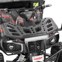 CARGO Transporter 3KW 62AH EEC