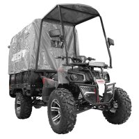 CARGO Transporter 3KW 62AH EEC