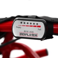 Kinder Buggy 1000 Watt mit DIFFERENTIAL + Brushless Motor Rot