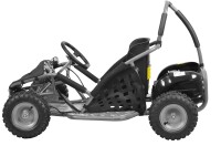Kinder Buggy 1000 Watt mit DIFFERENTIAL + Brushless Motor Silber