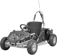 Kinder Buggy 1000 Watt mit DIFFERENTIAL + Brushless Motor Silber
