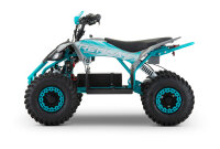Replay Sport 1200W 48V 6" Snowy Tire XL