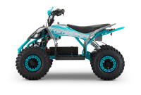 Replay Sport 1200W 48V 6" Snowy Tire XL Grün