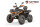 Tricia CVT 230cc  inkl. Seilwinde