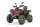 Tricia CVT 230cc  inkl. Seilwinde