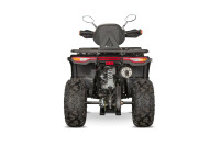 Tricia CVT 230cc  inkl. Seilwinde Grün