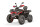 Tricia CVT 230cc  inkl. Seilwinde Grün