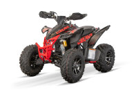 Celavi RS10 4G+RG 250cc