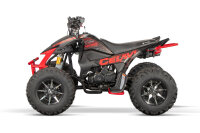 Celavi RS10 4G+RG 250cc
