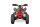 Celavi RS10 4G+RG 250cc