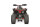 Celavi RS10 4G+RG 250cc