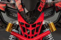 Celavi RS10 4G+RG 250cc Grün