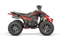 Celavi RS10 4G+RG 250cc Grün