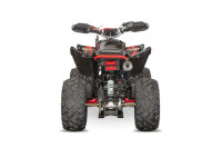 Celavi RS10 4G+RG 250cc Grün