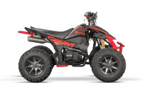 Celavi RS10 4G+RG 250cc Rot