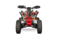Celavi RS10 4G+RG 250cc Rot