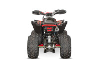 Celavi RS10 4G+RG 250cc Rot