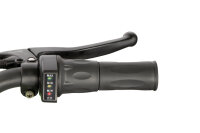 Anaconda VX 1000W 36V12Ah Lithium Brushless