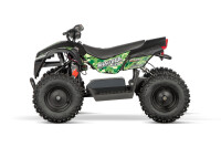 Anaconda VX 500W 36V12Ah Lithium Brushless