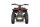 Anaconda VX 1000W 36V12Ah Lithium Brushless