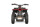 Anaconda VX 500W 36V12Ah Lithium Brushless