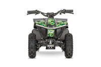 Anaconda VX 500W 36V12Ah Lithium Brushless Schwarz