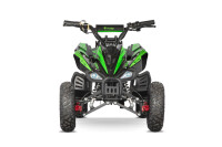 Pyhton Cross Eco mini Quad 1000W 36V 6 Zoll