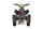 Pyhton Cross Eco mini Quad 1000W 36V 6 Zoll