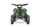 Pyhton Cross Eco mini Quad 1000W 36V 6 Zoll