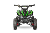 Pyhton Cross Eco mini Quad 1000W 36V 6 Zoll Blau