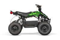 Pyhton Cross Eco mini Quad 1000W 36V 6 Zoll Grün