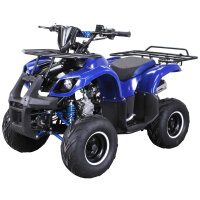 S8 Farmer 125 cc 7 Zoll Kinder Quad ATV
