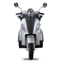 E-Trike 20km/h, helmfrei, 1KW Bürstenlos, RG,