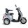 E-Trike 20km/h, helmfrei, 1KW Bürstenlos, RG,