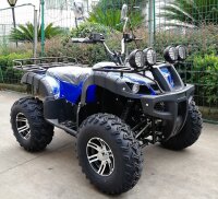 4WD E-Quad 2x2KW ALLRAD (2x2,72PS)