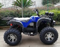 4WD E-Quad 2x2KW ALLRAD (2x2,72PS)