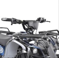 Farmer 1200 Watt 60V mit Differential
