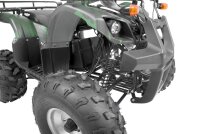 Farmer 1200 Watt 60V mit Differential