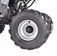 Farmer 1200 Watt 60V mit Differential NEUHEIT